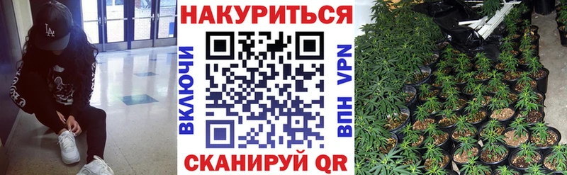 Марихуана OG Kush Бавлы